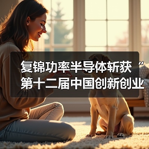 复锦功率半导体斩获“第十二届中国创新创业大赛优秀企业奖”（图2）