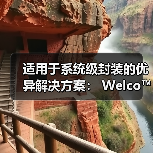 适用于系统级封装的优异解决方案： Welco™ AP520 SAC305（图4）