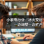 小家电行业“冰火交织”:一边调整一边扩产(图3) 小家电行业“冰火交织”:一边调整一边扩产(图3)