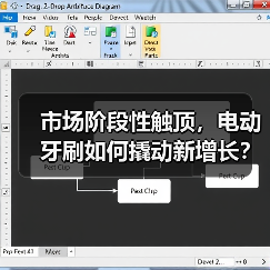市场阶段性触顶,电动牙刷如何撬动新增长?(图1) 市场阶段性触顶,电动牙刷如何撬动新增长?(图1)