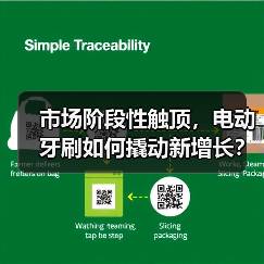 市场阶段性触顶,电动牙刷如何撬动新增长?(图4) 市场阶段性触顶,电动牙刷如何撬动新增长?(图4)