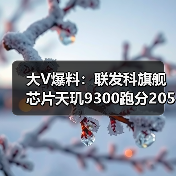 大V爆料:联发科旗舰芯片天玑9300跑分205万+,手机芯片性能第一!(图2) 大V爆料:联发科旗舰芯片天玑9300跑分205万+,手机芯片性能第一!(图2)