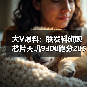 大V爆料:联发科旗舰芯片天玑9300跑分205万+,手机芯片性能第一!(图1) 大V爆料:联发科旗舰芯片天玑9300跑分205万+,手机芯片性能第一!(图1)