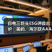 白电三巨头ESG评级出炉:美的、海尔获AAApi级,格力获AApi级(图4) 白电三巨头ESG评级出炉:美的、海尔获AAApi级,格力获AApi级(图4)