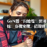GaN圈“扫地僧”誉鸿锦：身藏宝藏，初现锋芒（图2）