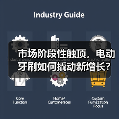 市场阶段性触顶,电动牙刷如何撬动新增长?(图4) 市场阶段性触顶,电动牙刷如何撬动新增长?(图4)
