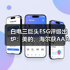 白电三巨头ESG评级出炉:美的、海尔获AAApi级,格力获AApi级(图3) 白电三巨头ESG评级出炉:美的、海尔获AAApi级,格力获AApi级(图3)