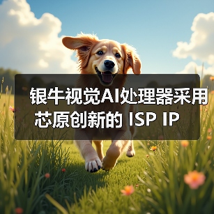 银牛视觉AI处理器采用芯原创新的 ISP IP（图4）