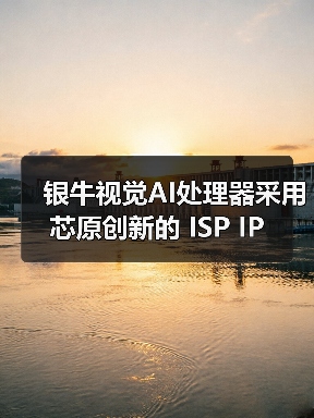 银牛视觉AI处理器采用芯原创新的 ISP IP（图1）