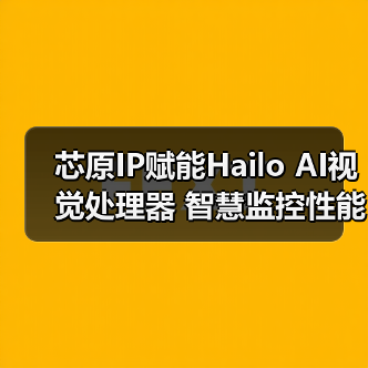 芯原IP赋能Hailo AI视觉处理器 智慧监控性能再升级（图2）