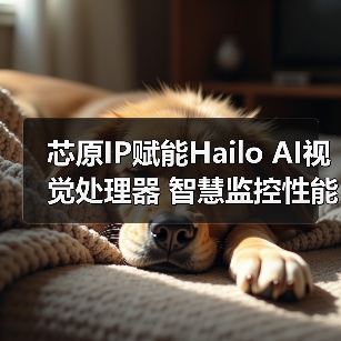 芯原IP赋能Hailo AI视觉处理器 智慧监控性能再升级（图4）