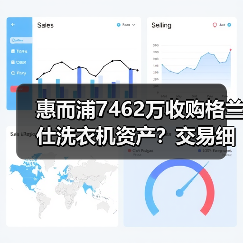 惠而浦7462万收购格兰仕洗衣机资产?交易细节曝光(图4) 惠而浦7462万收购格兰仕洗衣机资产?交易细节曝光(图4)
