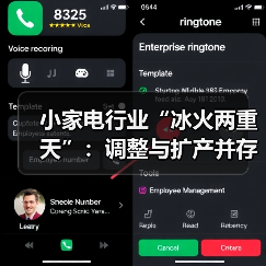 小家电行业“冰火两重天”:调整与扩产并存(图3) 小家电行业“冰火两重天”:调整与扩产并存(图3)