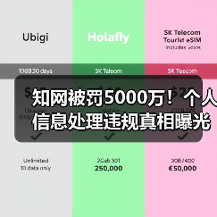 知网被罚5000万！个人信息处理违规真相曝光