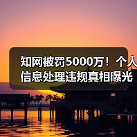 知网被罚5000万!个人信息处理违规真相曝光(图4) 知网被罚5000万!个人信息处理违规真相曝光(图4)