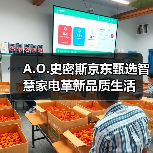 A.O.史密斯京东甄选智慧家电革新品质生活(图4) A.O.史密斯京东甄选智慧家电革新品质生活(图4)