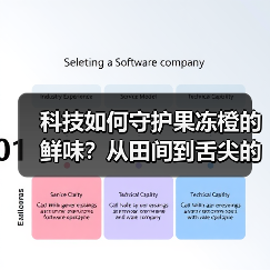 科技如何守护果冻橙的鲜味?从田间到舌尖的新鲜链揭秘(图3) 科技如何守护果冻橙的鲜味?从田间到舌尖的新鲜链揭秘(图3)