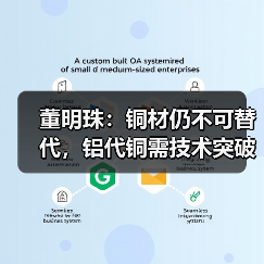 董明珠：铜材仍不可替代，铝代铜需技术突破（图1）