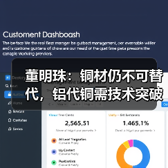 董明珠：铜材仍不可替代，铝代铜需技术突破（图4）