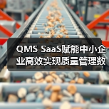 QMS SaaS赋能中小企业高效实现质量管理数字化转型(图2) QMS SaaS赋能中小企业高效实现质量管理数字化转型(图2)