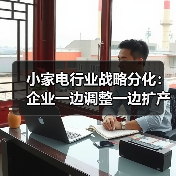 小家电行业战略分化：企业一边调整一边扩产（图3）