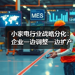 小家电行业战略分化：企业一边调整一边扩产（图2）