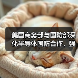 美国商务部与国防部深化半导体国防合作,强化供应链韧性(图2) 美国商务部与国防部深化半导体国防合作,强化供应链韧性(图2)