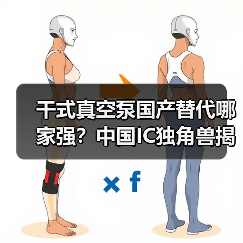 干式真空泵国产替代哪家强?中国IC独角兽揭晓(图3) 干式真空泵国产替代哪家强?中国IC独角兽揭晓(图3)