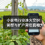 小家电行业冰火交织：调整与扩产背后真相为何？（图1）