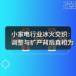 小家电行业冰火交织：调整与扩产背后真相为何？（图3）