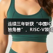 连续三年斩获“中国IC独角兽”,RISC-V领域黑马如何崛起?(图2) 连续三年斩获“中国IC独角兽”,RISC-V领域黑马如何崛起?(图2)