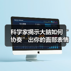 科学家揭示大脑如何“协奏”出你的面部表情(图2) 科学家揭示大脑如何“协奏”出你的面部表情(图2)