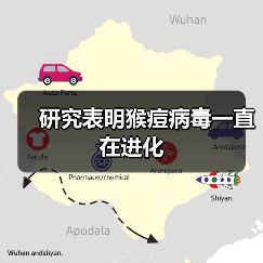 研究表明猴痘病毒一直在进化(图2) 研究表明猴痘病毒一直在进化(图2)