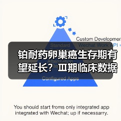 铂耐药卵巢癌生存期有望延长?Ⅲ期临床数据揭示新突破(图4) 铂耐药卵巢癌生存期有望延长?Ⅲ期临床数据揭示新突破(图4)