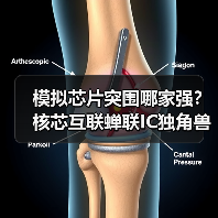 模拟芯片突围哪家强?核芯互联蝉联IC独角兽(图2) 模拟芯片突围哪家强?核芯互联蝉联IC独角兽(图2)