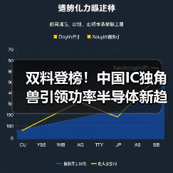 双料登榜!中国IC独角兽引领功率半导体新趋势(图3) 双料登榜!中国IC独角兽引领功率半导体新趋势(图3)