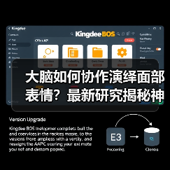 大脑如何协作演绎面部表情?最新研究揭秘神经网络机制(图3) 大脑如何协作演绎面部表情?最新研究揭秘神经网络机制(图3)