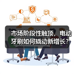 市场阶段性触顶,电动牙刷如何撬动新增长?(图4) 市场阶段性触顶,电动牙刷如何撬动新增长?(图4)