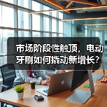 市场阶段性触顶,电动牙刷如何撬动新增长?(图2) 市场阶段性触顶,电动牙刷如何撬动新增长?(图2)