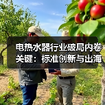 电热水器行业破局内卷关键:标准创新与出海布局引领转型(图2) 电热水器行业破局内卷关键:标准创新与出海布局引领转型(图2)