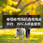 半导体市场机遇与挑战并存，WICA峰会聚焦全球趋势（图3）