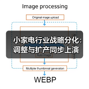 小家电行业战略分化：调整与扩产同步上演（图4）