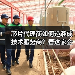 芯片代理商如何逆袭成技术服务商?看这家企业的非典型转型之路(图2) 芯片代理商如何逆袭成技术服务商?看这家企业的非典型转型之路(图2)