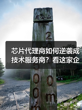 芯片代理商如何逆袭成技术服务商?看这家企业的非典型转型之路(图1) 芯片代理商如何逆袭成技术服务商?看这家企业的非典型转型之路(图1)