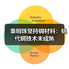 董明珠坚持铜材料：铝代铜技术未成熟（图2）