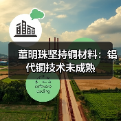 董明珠坚持铜材料：铝代铜技术未成熟（图3）