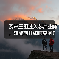 资产重组注入芯片业务，双成药业如何突围？（图1）