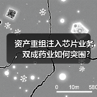 资产重组注入芯片业务，双成药业如何突围？（图2）