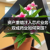 资产重组注入芯片业务，双成药业如何突围？（图3）