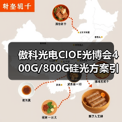 傲科光电CIOE光博会400G/800G硅光方案引关注（图4）